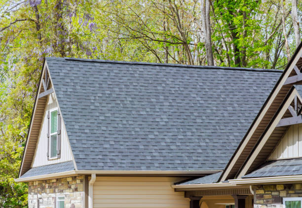 Best Roof Coating and Sealing  in Zebulon, GA